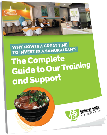 SamuraiSams_eBook2Icon_D1